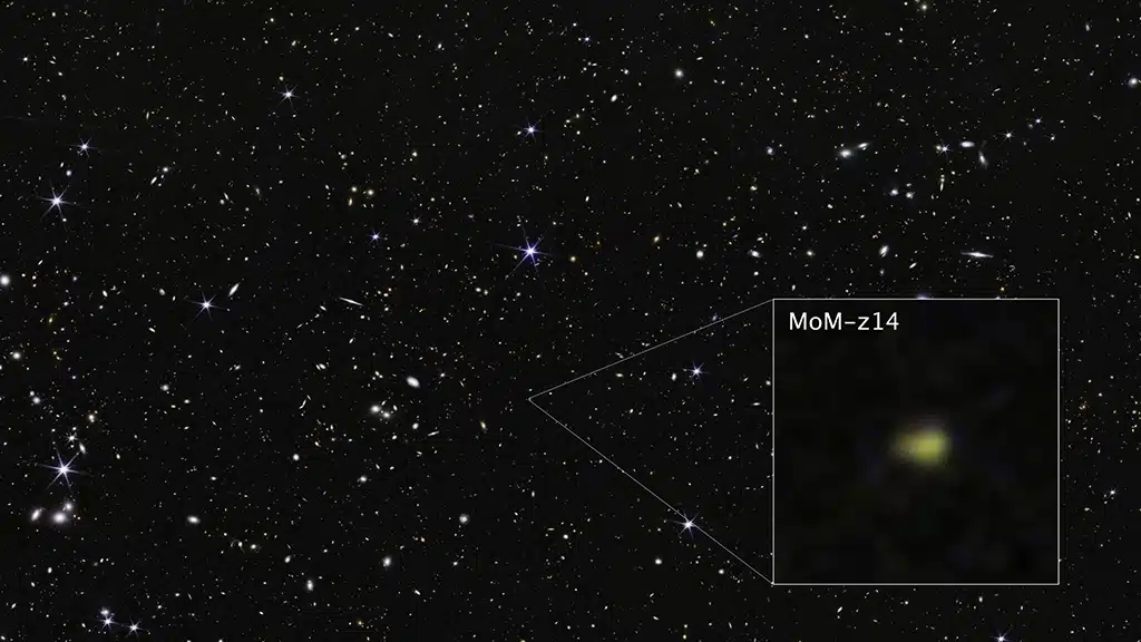 Webb detecta la galaxia MoM-z14 en los confines del Universo.