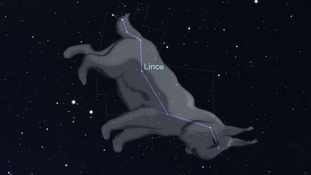 Constelación del Lince (Lynx).
