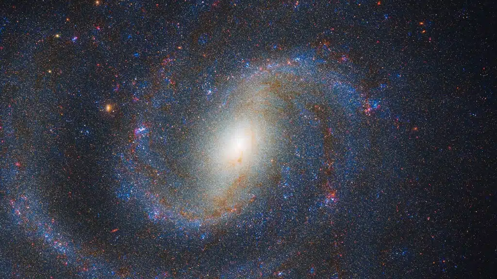 supergigante roja progenitora de supernova.