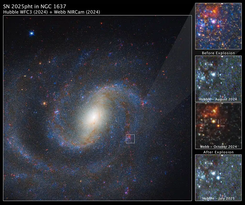 A la izquierda se muestra una imagen combinada del Webb y el Hubble de la galaxia espiral NGC 1637, con la región de interés situada en la parte superior derecha. Los tres paneles de más abajo presentan una imagen detallada de una supergigante roja progenitora de supernova antes y después de su explosión. La estrella no es visible en la imagen del Hubble previa a la explosión, pero sí aparece en la imagen obtenida por Webb. La imagen de julio de 2025 captada por Hubble muestra el resplandor remanente tras la explosión.