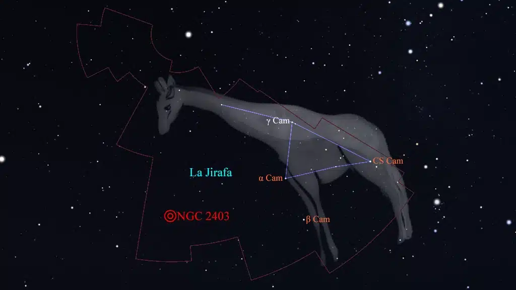 Constelación de La Jirafa (Camelopardalis): NGC 2403 (Caldwell 7), galaxia.