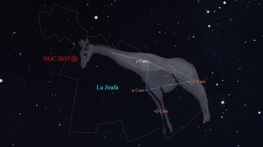 Constelación de La Jirafa (Camelopardalis): NGC 2655, NGC 2715 y UGC 4701, galaxias.