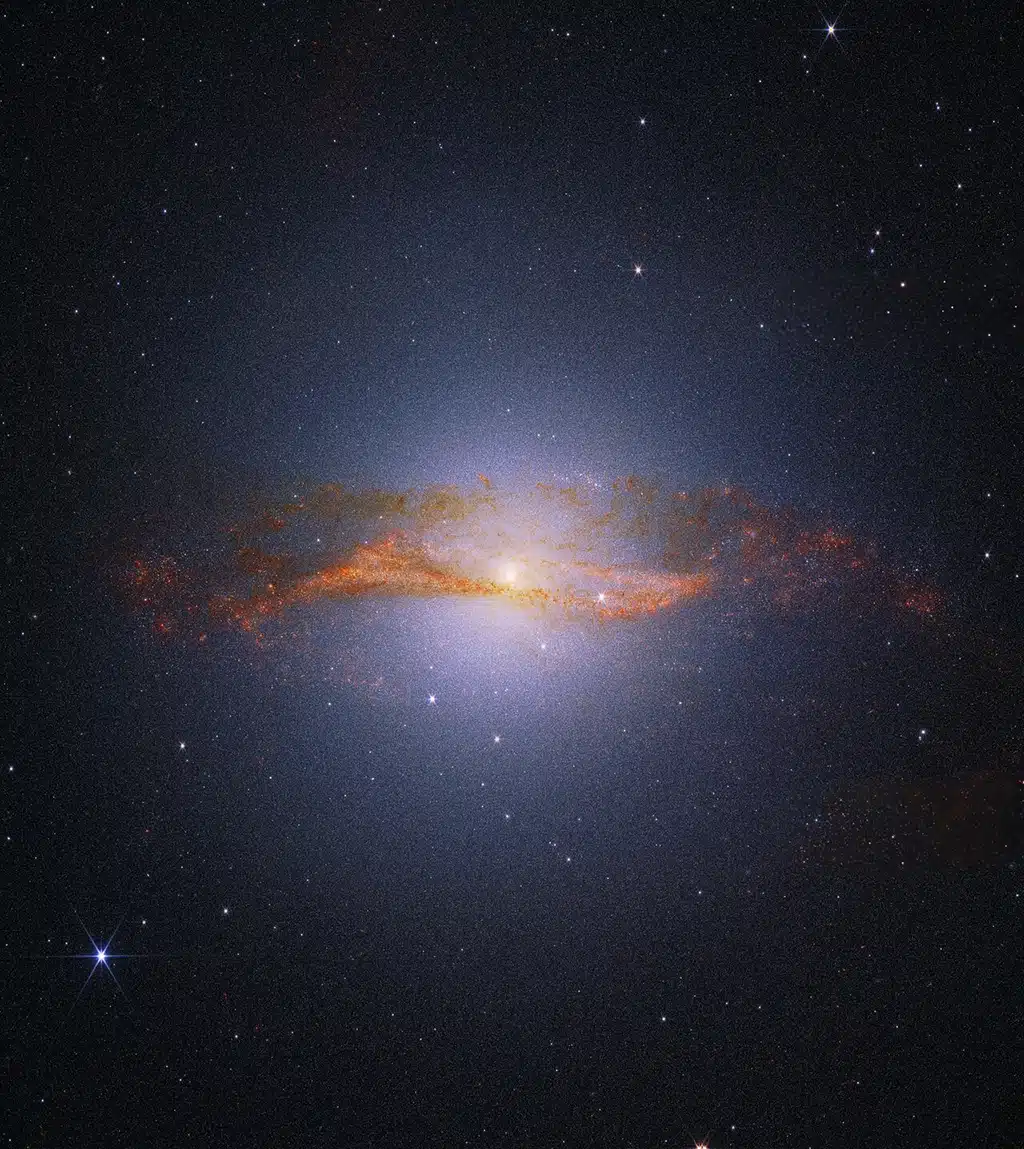 Right Image