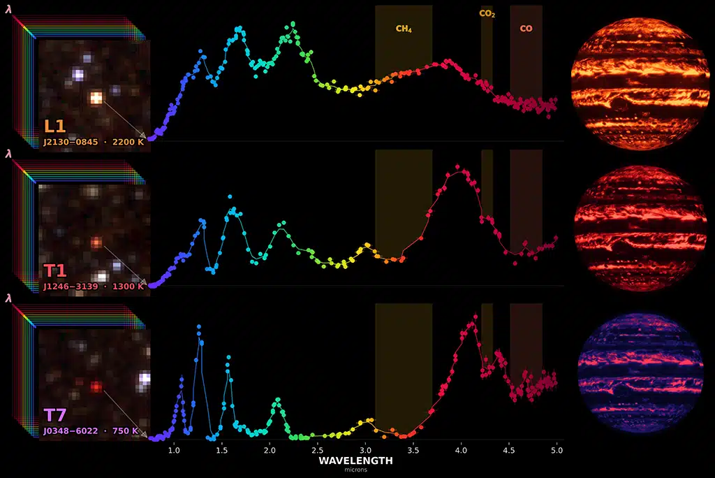 Gracias a su cobertura espectral, SPHEREx detecta moléculas como metano (CH₄), dióxido de carbono (CO₂) y monóxido de carbono (CO) en las atmósferas de las enanas marrones. A la izquierda se muestran tres enanas marrones tal y como las observa el telescopio. A la derecha, las ilustraciones representan estas enanas marrones como mundos similares a Júpiter.