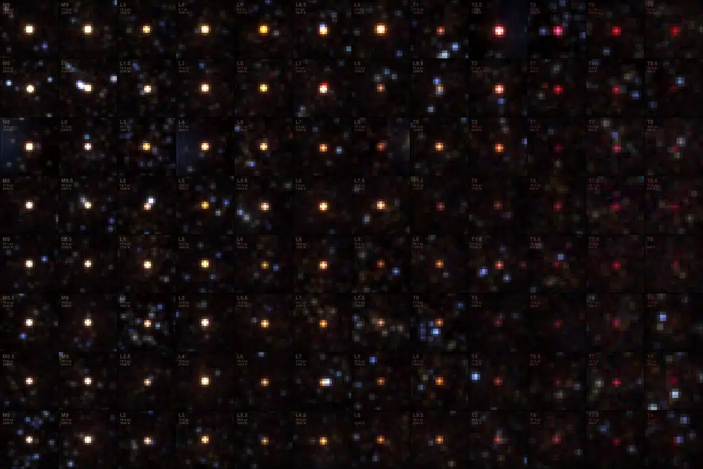 Mientras cartografía el cielo, el telescopio SPHEREx está encontrando miles de enanas marrones ocultas en la oscuridad. Esta muestra de enanas marrones aparece en el mosaico de observaciones, ordenadas por tipo espectral, distancia y temperatura en grados kelvin.