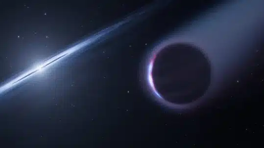 Un planeta de segunda generación orbita una enana blanca.